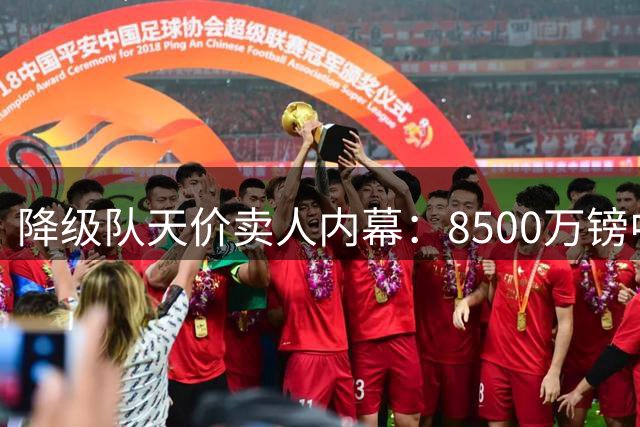 降级队天价卖人内幕：8500万镑中场竟是"包装产物"？热刺豪赌背后暗藏玄机